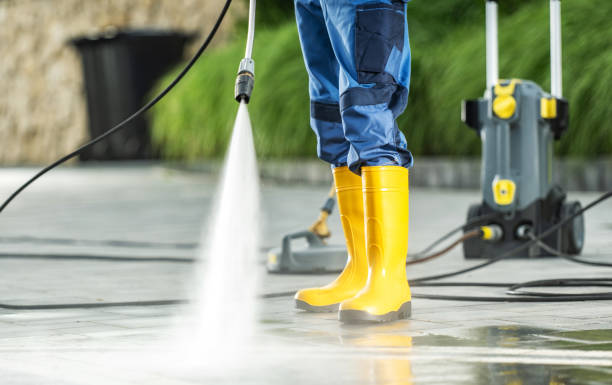 Best House Pressure Washing  in Hinckley, IL