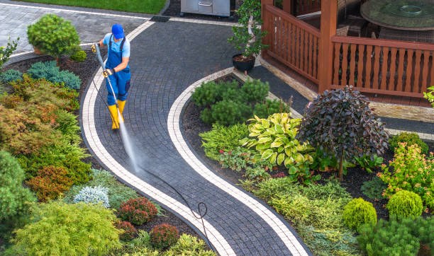 Best Roof Power Washing Services  in Hinckley, IL